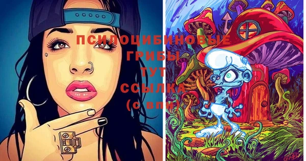 спиды Алексеевка