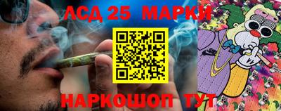 СК Камышлов
