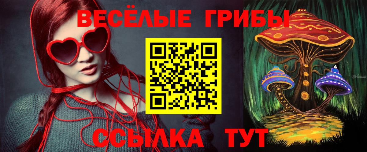 Псилоцибиновые грибы Psilocybe  как найти наркотики  Мирный  Галлюциногенные грибы Psilocybine cubensis  Вход с VPN 